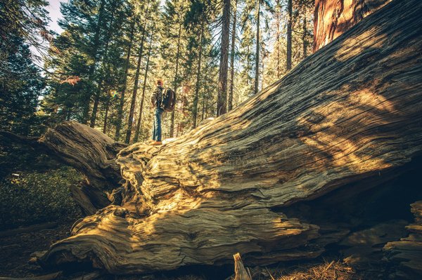 Comment découvrir les temples cachés de l'Indonésie en évitant les foules?